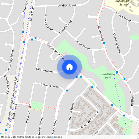 38 Cartwright Avenue, NSW 2168, Miller