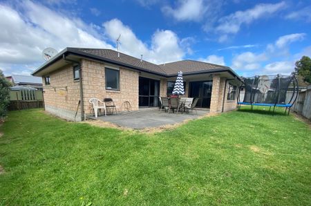 GREAT SIZED FAMILY HOME IN TE PUKE - Photo 4