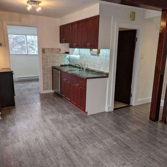Appartement sur deux niveaux-Comme une maison, au cœur d'Ahuntsic ! - Photo 1