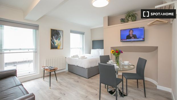 Serviced studio apartment for rent in St Stephen's Green, D2 - Photo 1