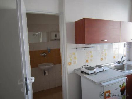 Pronájem bytu 1+kk /OV/, 27 m - Fotografie 2