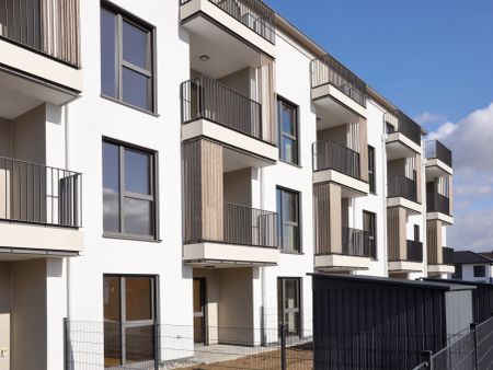 54,11qm 2Zi-O-Balkonwohnung,Erstbezug, ökologische Bauweise - Photo 4