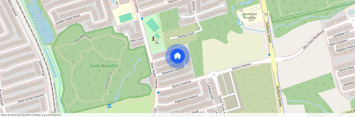 90 Maverick Crescent #Bsmt, Vaughan, Patterson