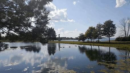 41 Woodridge Crescent, Bayshore - Belltown, Ottawa, ON - Photo 1