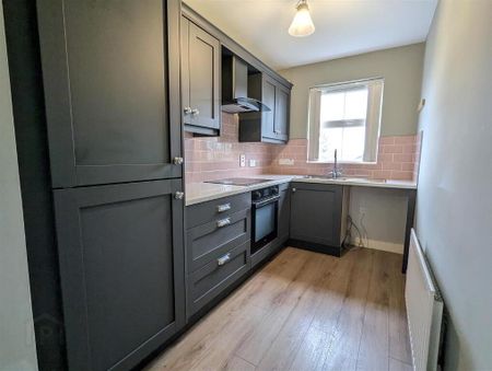 21b Burrenwood Road, Castlewellan, BT31 9DR - Photo 5