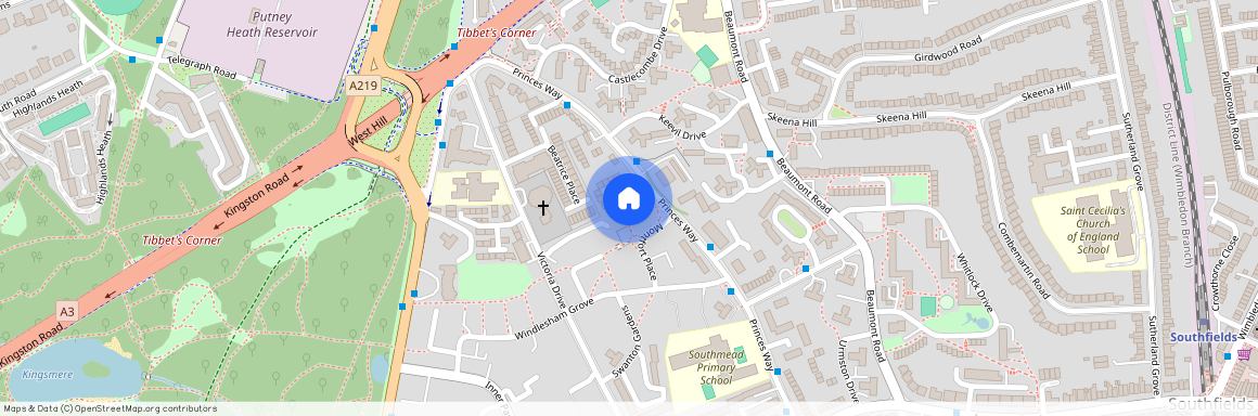 Princes Way, London