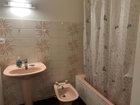 Location Appartement 2 pièces 52m² VICHY 03200 - Photo 2