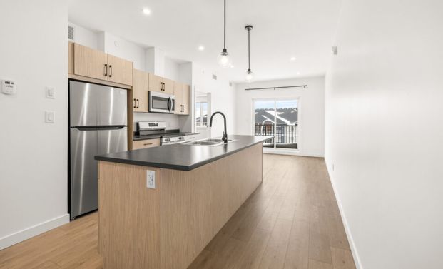 Pine: Grey Cabinets – 225 Peguis, Winnipeg, MB - Photo 1