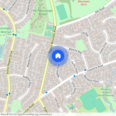 22 Medina Place, Half Moon Bay, Manukau City