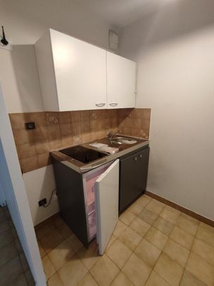 Location Appartement 1 pièce 20m² GRENOBLE 38000 - Photo 1