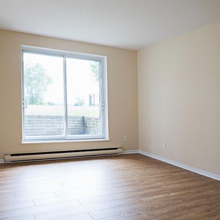 Jardin sur la Rive | 21/2 Neuf à Louer | studio for Rent | Pointe-Aux-Tremble - Photo 3