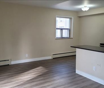 For Lease - 416 E 42nd Street Unit# 208, Hamilton, Ontario - Photo 1