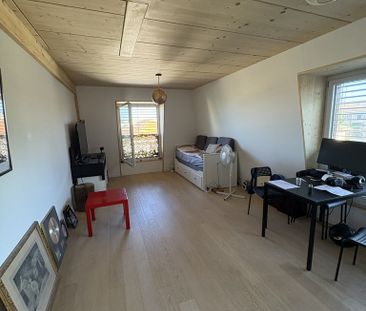 Splendide 1 pièce avec terrasse - Foto 4