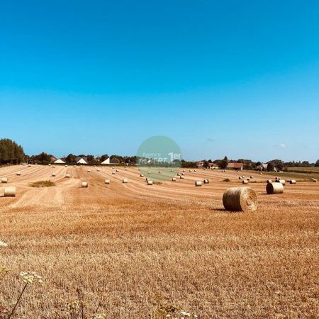 OCTEVILLE SUR MER - T5 - T6 - 140m² - Photo 3