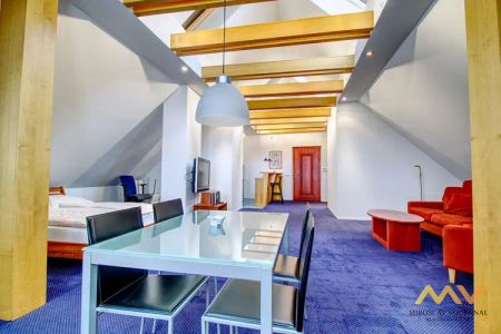Pronájem podkrovního apartmánu 1+kk o rozloze 98 m - Photo 4