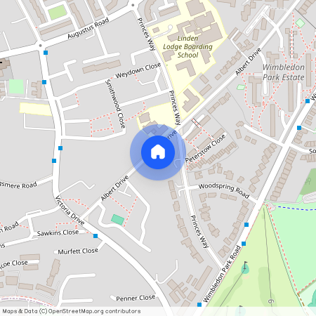 Albert Drive, London SW19