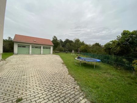 Eine schöne 4 - Zimmer Mietwohnung mit Gemeinschaftsgarten ca. 1500m² - Photo 2