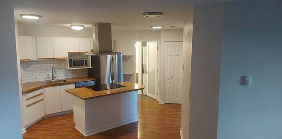 Bright, renovated 2br unit in Garibaldi Estates - Photo 2