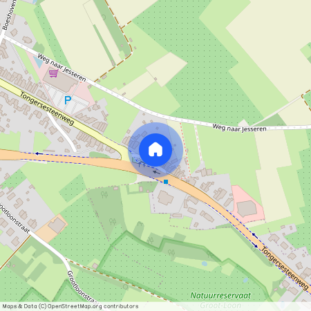 Tongersesteenweg 163, 3840 Borgloon