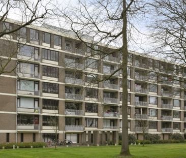 Apartment Amersfoort - Ringweg Randenbroek - Foto 2