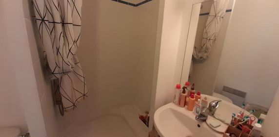 Location Appartement 1 pièce 24m² NANTES 44100 - Photo 2