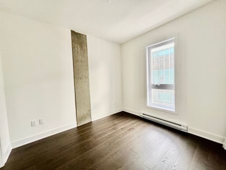 Appartement à louer, Montréal (Le Plateau-Mont-Royal) - Photo 5