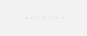 Appartement à louer 1 pièces de 20,25 m² à Nogent-sur-Marne - Photo 1