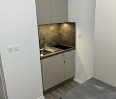 Location Appartement 1 pièce 20m² STRASBOURG 67000 - Photo 3