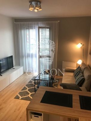 BCL-MW-1498 Bydgoszcz, Skrzetusko - Фото 1