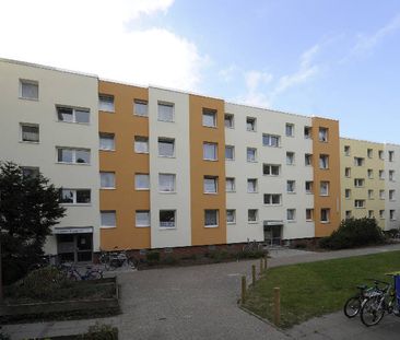 Stadtnah und ganz oben Wohnen mit ländlichem Flair - Foto 1