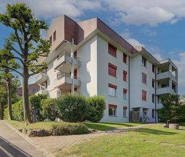 2.5 Zimmer, 51 m², EG - Foto 4