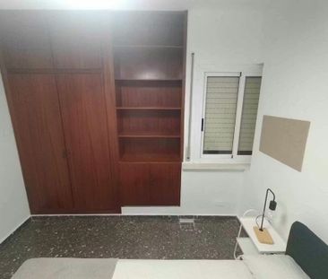 Avinguda de Blasco Ibáñez, Valencia, Valencian Community 46010 - Photo 2