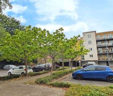 Rosida Gardens, Hill Lane, SO15 - Photo 6