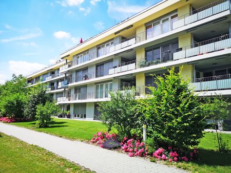 Lichtdurchflutete Wohnung mit moderner Ausstattung! - Photo 2