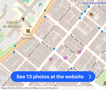 1975 Maisonneuve Blvd West - Photo 1