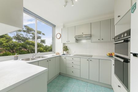 19/41 Kangaroo Street, Manly, NSW 2095 - Photo 5