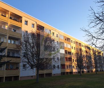 Hier wohnt das kleine Mosel-Glück - Photo 6