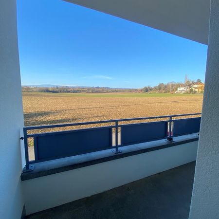 3.5 Zimmerwohnung in Müntschemier ! - Photo 4