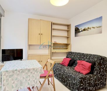 Location Appartement 1 pièce 18m² LA GRANDE MOTTE 34280 - Photo 3