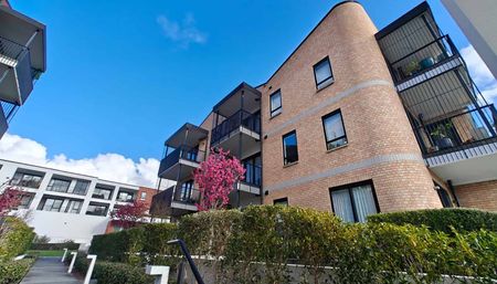 Modern 2 bedrooms apartment at Hobsonville point - Photo 3