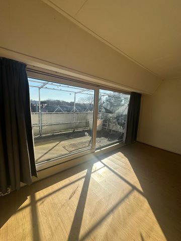 Wolphaertsbocht - Foto 5