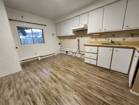 527 Rue Lepailleur - Photo 4