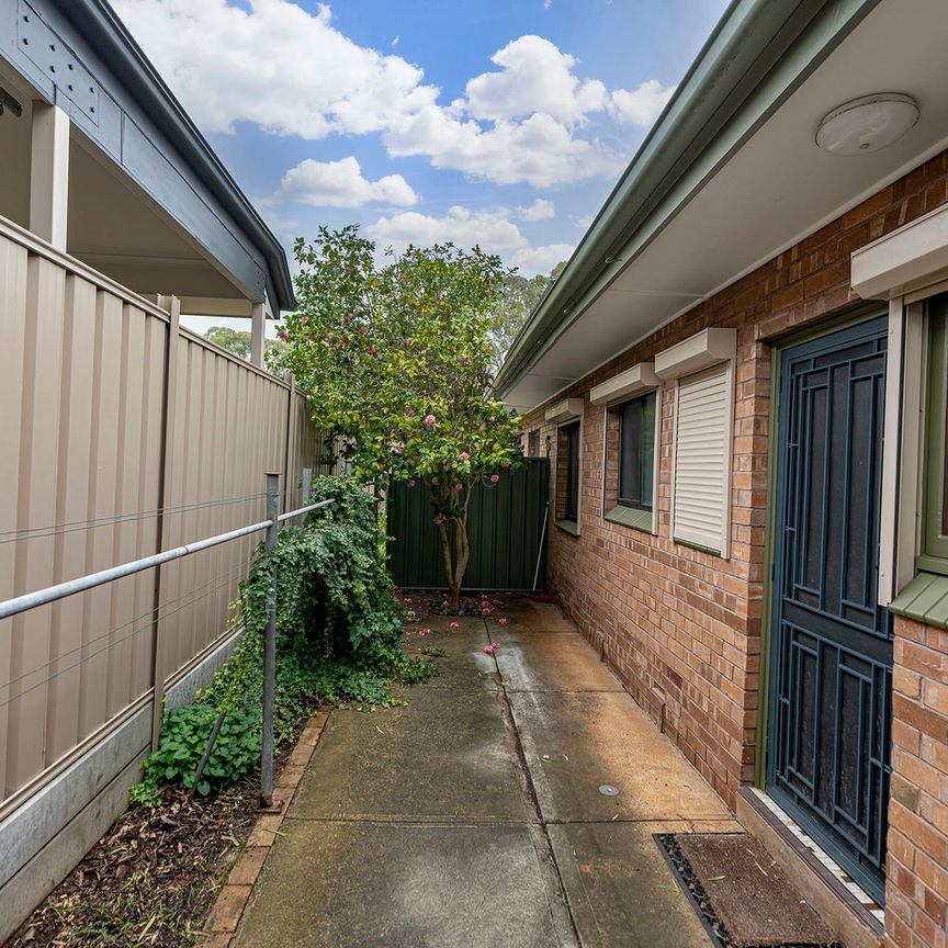 Unit 1/530 Greenhill Road - Photo 1