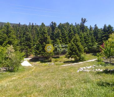 Ενοικίαση, Επαγγελματικό, Ξενοδοχείο - Photo 4