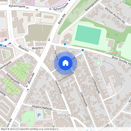 Carit Etlars Gade 8, 2. th., Aalborg