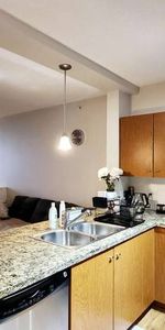 Fantastic Elegant 1 bed 1 bath furnished apartment at COQUITLAM - Photo 4