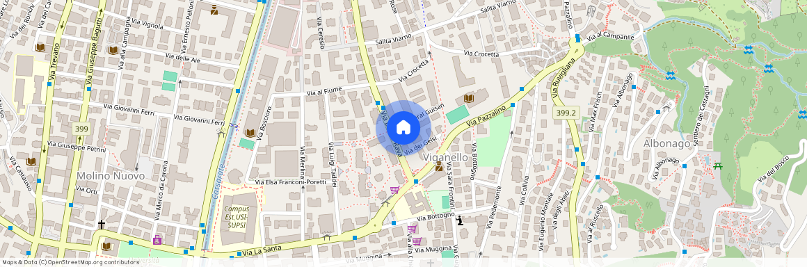 Via Generale Guisan 2, 6962 Viganello, Svizzera