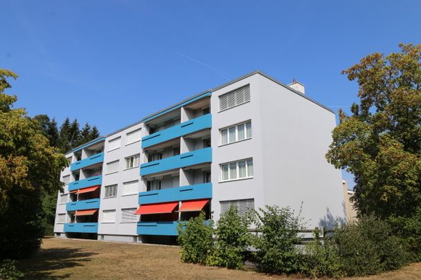 Helle Wohnung an Waldrandnähe - Photo 1