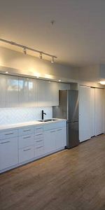 Newly Renovated Studio Apartment - Photo 3