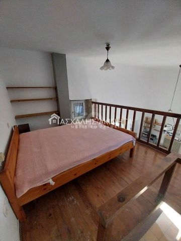 Μονοκατοικία για ενοικίαση Μυρτιά (Νίκος Καζαντζάκης) - Photo 3